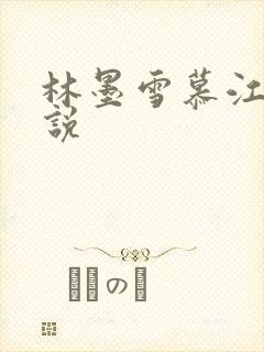 林墨雪慕江行小说