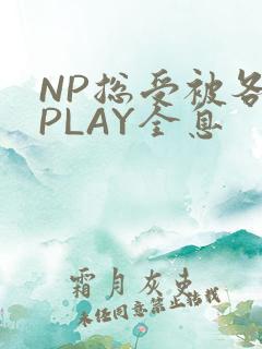 NP总受被各种PLAY全息
