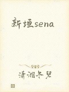 新垣sena