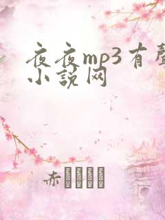 夜夜mp3有声小说网