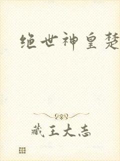 绝世神皇楚风