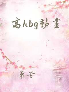 高hbg动画