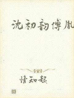 沈初韵傅胤小说