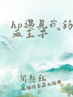 hp遇见我的混血王子