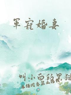 军宠婚妻