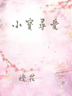 小宝寻爱