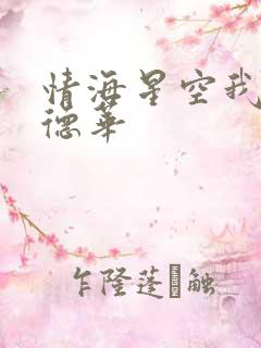 情海星空我与刘德华