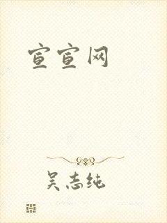 宣宣网