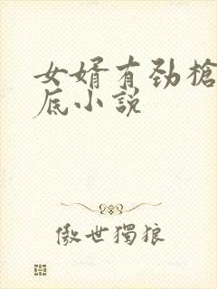 女婿有劲枪枪到底小说