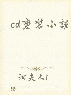 cd变装小说