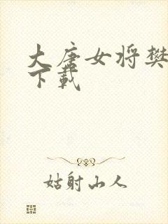 大唐女将樊梨花下载