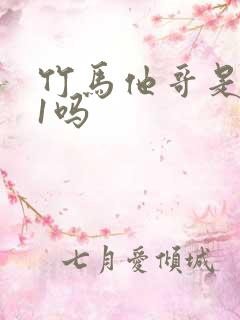 竹马他哥是1v1吗