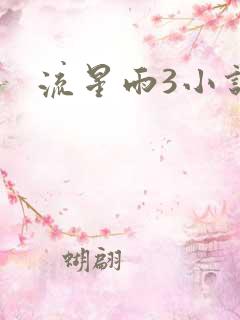 流星雨3小说