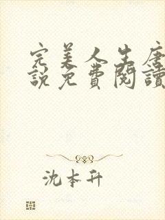 完美人生唐诚小说免费阅读