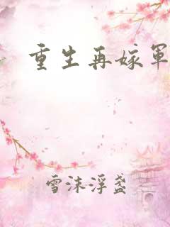 重生再嫁军门