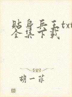 贴身兵王txt全集下载