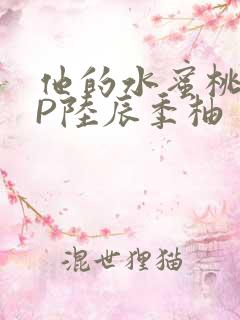 他的水蜜桃POP陆辰季柚