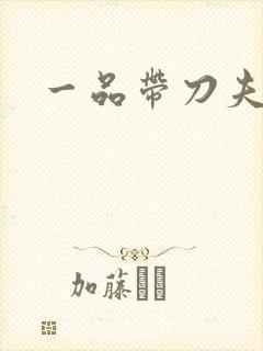 一品带刀夫人