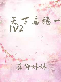 天下乌鸦一般黑1V2