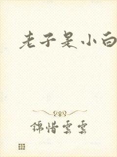 老子是小白脸