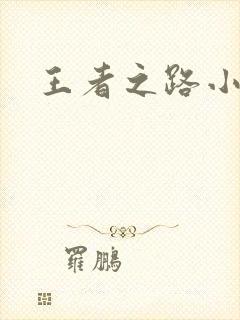 王者之路小说