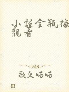 小说金瓶梅在线观看