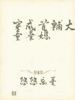 穿成首辅大人的童养媳