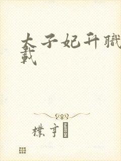 太子妃升职记下载