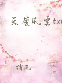 天庐风云txt