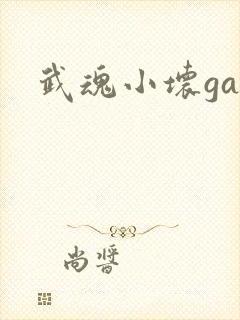 武魂小坏ga