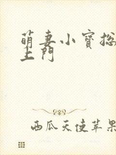 萌妻小宝总裁找上门