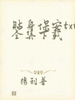 贴身保安txt全集下载