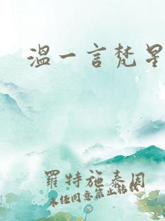 温一言梵星小说