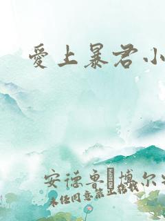 爱上暴君小甜心