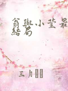 翁与小莹最新大结局