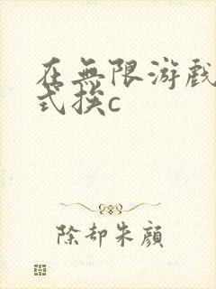 在无限游戏里花式挨c
