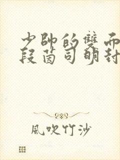 少帅的双面宠妻段茵司明封免费