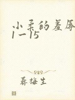 小柔的羞辱日记1一15