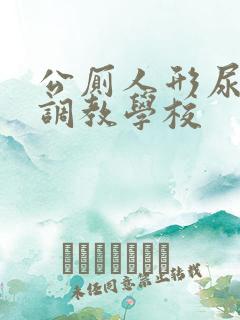 公厕人形尿便器调教学校