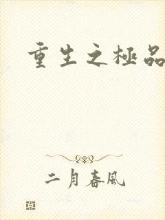 重生之极品男妾