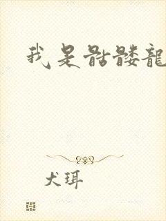 我是骷髅龙骑兵