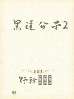 黑道公子2