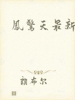 凤惊天最新章节