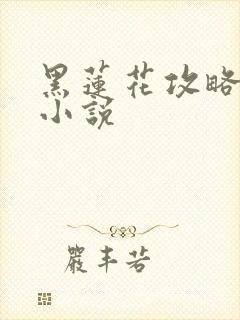 黑莲花攻略手册小说