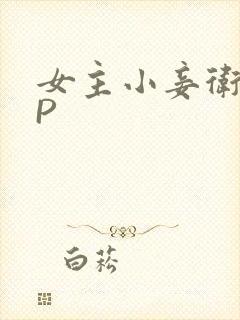 女主小妾卫府NP