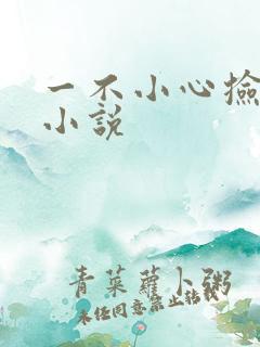 一不小心捡到爱小说