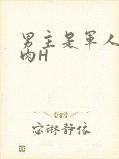 男主是军人的肉肉H
