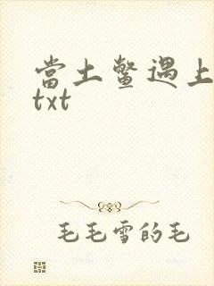当土鳖遇上海龟txt