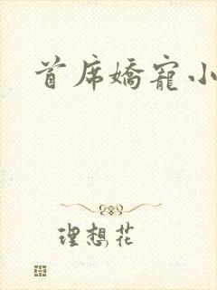 首席娇宠小情人