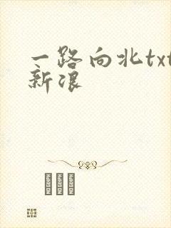 一路向北txt新浪
